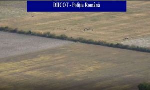 DIICOT a dat lovitura: Ce au descoperit procurorii într-o comună din Dâmbovița