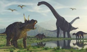 Cum arată cel mai CIUDAT dinozaur din istorie. Descoperirea oamenilor de știință