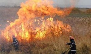 Peste 30 de incendii de vegetaţie, înregistrate în trei zile în Suceava