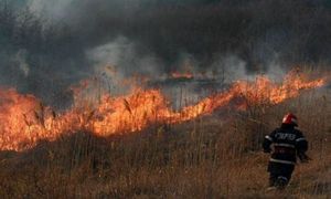 Pompierii au încercat 10 ore să stingă şapte incendii de vegetaţie
