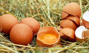 ALERTĂ: Ouă contaminate cu PESTICIDE, descoperite și în România