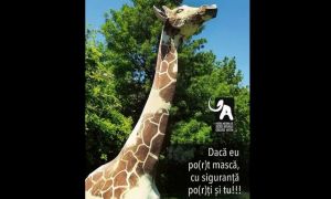 Muzeul Naţional de Istorie Naturală „Grigore Antipa” se redeschide de Ziua Copilului