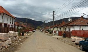 ABERAȚIA zilei: Cum arată o școală din Bihor, transformată în STAUL pentru oi