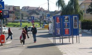 Anunț AEP: Câți bani a plătit România pentru campania electorală a partidelor