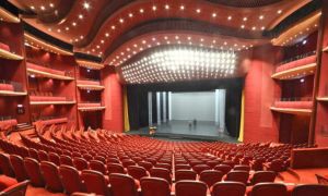 Teatrul Național București a anunțat când reia spectacolele 