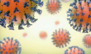 ULTIMA ORĂ: Au fost confirmate primele două cazuri de infectare cu tulpina BRAZILIANĂ a COVID