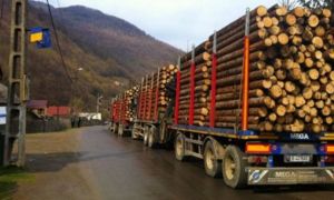 Ministerul Mediului, mesaj îngrijorător: ”Este imposibil să spui cât lemn s-a FURAT”
