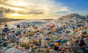 Se MODIFICĂ legislația privind deșeurile. Ce se va întâmpla până în 2030