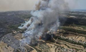UPDATE: Un avion care ajuta la stingerea incendiilor din Turcia s-a PRĂBUȘIT. Opt oameni au murit