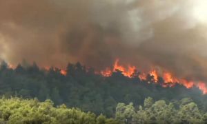 Situație DRAMATICĂ în Grecia: incendiu puternic în zona Attica. Pompierii români se luptă cu flăcările