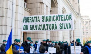 Sindicaliștii din silvicultură protestează, miercuri, în fața Ministerul Mediului