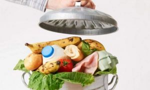 Românii, campionii Europei la aruncat mâncarea: Cum putem diminua risipa alimentară?