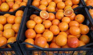 ALERTĂ. Românii au consumat peste 12 tone de portocale cu pesticide, vândute de un mare lanț de hipermarketuri  în perioada sărbătorilor. Alte 12 tone sunt retrase abia acum de la comercializare