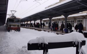 Circulația feroviară, AFECTATĂ de zăpadă și căderile de copaci pe linii. Unde sunt PROBLEME
