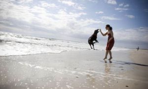 Turiștii vor avea voie cu animalele de companie pe plajele de pe litoralul românesc