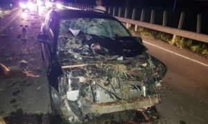Accident grav provocat de un căruțaș în județul Neamț