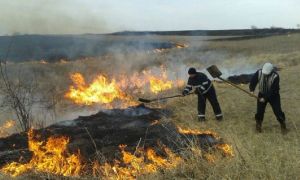 Peste 6.000 de incendii de vegetație doar în acest an. Mii de hectare de teren au fost DISTRUSE