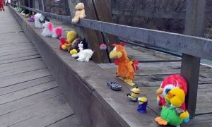 Între România și Ucraina a apărut ”podul de JUCĂRII”