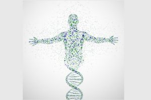Reușită științifică istorică: A fost publicat primul genom uman complet