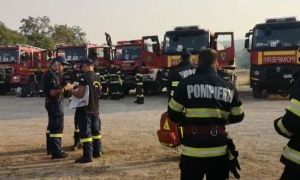 Incendiu izbucnit chiar lângă Aeroportul Băneasa: Mai multe echipaje de pompieri au intervenit la fața locului