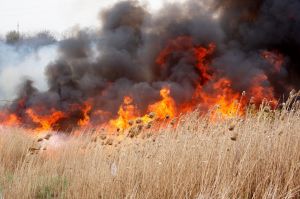 INCENDIU de vegetație din Argeș: un pompier de 47 de ani A MURIT