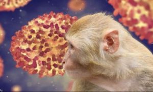 Al doilea caz de variola maimuței identificat în România