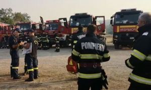 Pompierii români intervin în Atena pentru stingerea unui incendiu de vegetație