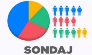 Sondaj Avangarde: Partidele preferate de români și ce SOLUȚII au oamenii pentru economie