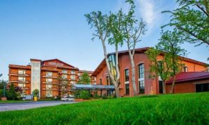 Care sunt cele cinci HOTELURI din București, Snagov și Otopeni care au fost amendate drastic de ANPC 