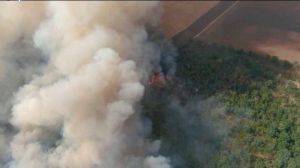 Pompierii, în alertă! 500 de INCENDII de vegetație au avut loc în doar cinci zile