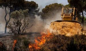 Portugalia, Spania şi Franţa, afectate de grave INCENDII de vegetație