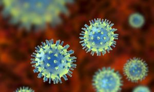 Un nou virus ucigaș se răspândește. Este înrudit cu Ebola și nu există încă tratament