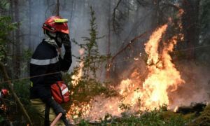 UE înregistrează cele mai GRAVE incendii forestiere din 2006
