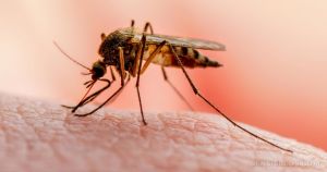 ALERTĂ. Bărbat de 41 de ani a fost diagnosticat cu MALARIE