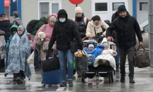 OFICIAL. Aproape 4.400 de ucraineni au cerut azil în România, de la începutul conflictului