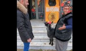 VIDEO O CAPRĂ pentru un bitcoin! Afacerea pusă la cale de o bătrână din Focșani