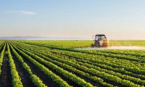 Fermierii atrag atenția: Anul agricol 2022-2023 stă sub semnul hazardului