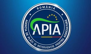 Directorii APIA Argeș, trimiși în judecată pentru fraudarea unui concurs de angajare 
