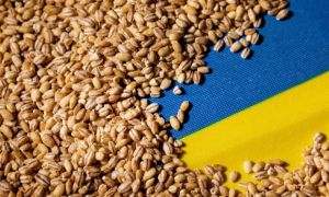 După Polonia și Ungaria, Bulgaria ar putea fi a treia țară care interzice importul de cereale ucrainene