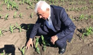 Moţiunea împotriva ministrului Agriculturii, Petre Daea, a fost respinsă de plenul Camerei Deputaţilor