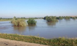 INHGA: Cod roșu de inundații în județul Timiș, pe râurile din bazinul hidrografic Bârzava