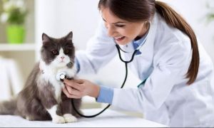 15 mai: Ziua națională a medicului veterinar