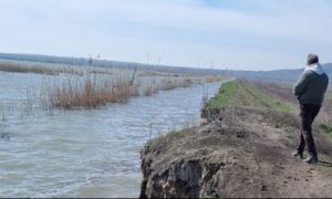ALERTĂ în Tulcea! Un dig s-a SURPAT inundând 40 de hectare de culturi agricole