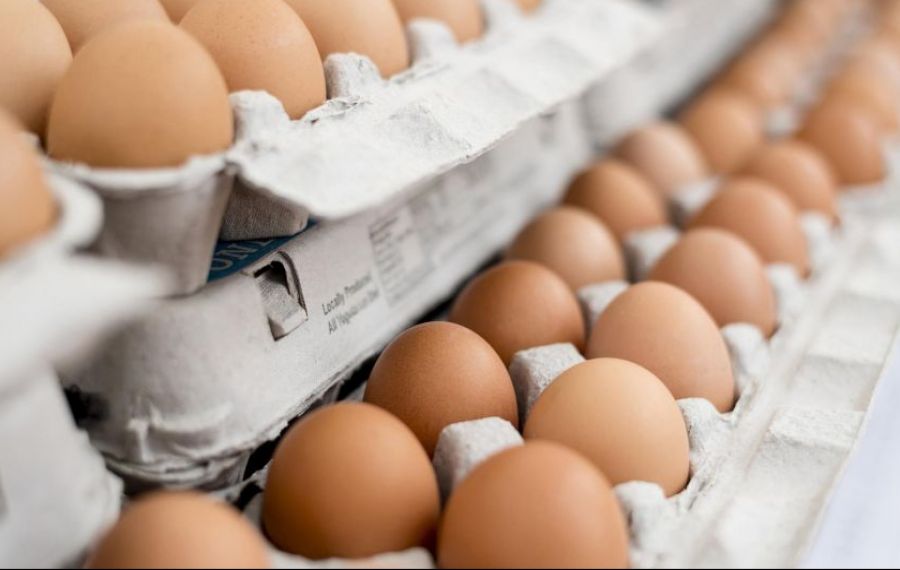 Sute de mii de ouă contaminate cu Salmonella au fost descoperite în București