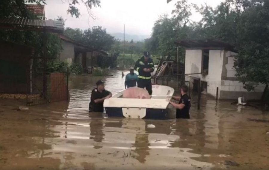 AJUTOARE de la stat pentru românii afectați de inundații. Anunțul premierului