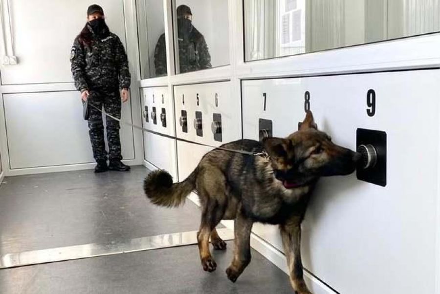 Aeroportul din Sibiu: un câine de miros a depistat un pasager VACCINAT testat pozitiv cu COVID-19