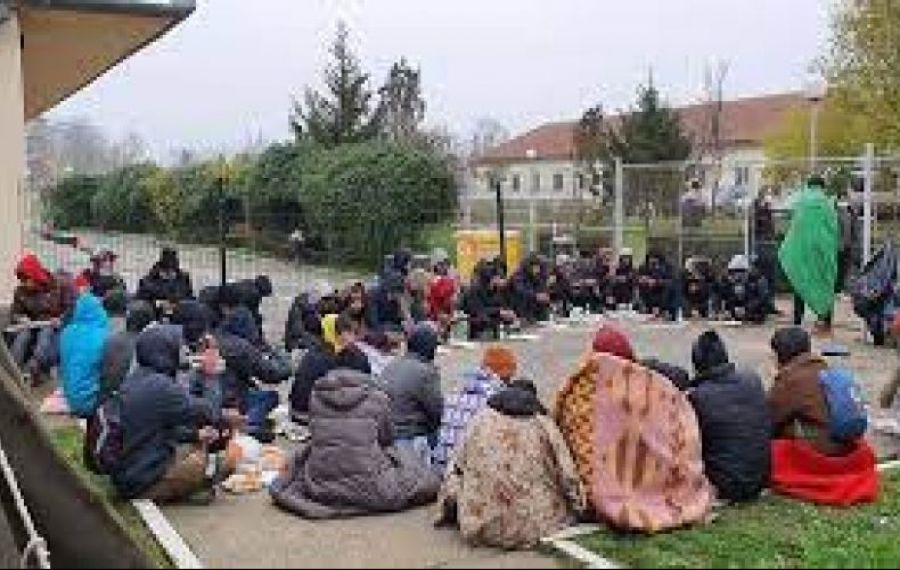 Peste 80 de migranți, depistați în Timișoara în această săptămână