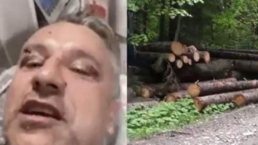 Garda Forestieră Suceava, REACȚIE halucinantă după ce doi jurnaliști au fost BĂTUȚI pentru că au filmat tăierile ilegale de păduri