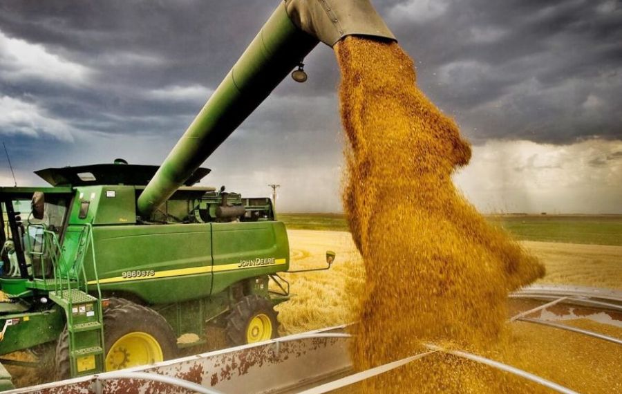 România tocmai ce a vândut Egiptului sute de tone de grâu