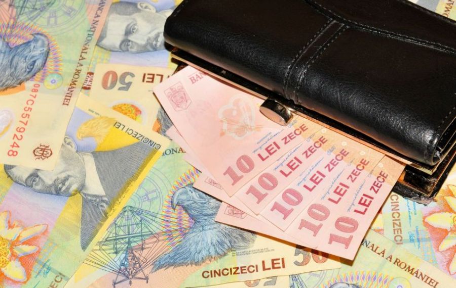 O treime din cheltuielile românilor au fost pentru TAXE, impozite și asigurări sociale